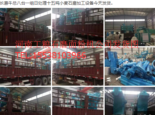 長葛牛總八臺一組日處理十五噸小麥石磨加工面粉機設備今天發貨